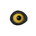 Goldeneye Lids and Eyes (GE)